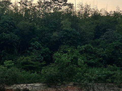 Banlung Nature Trekking Tours-邦隆必去景点