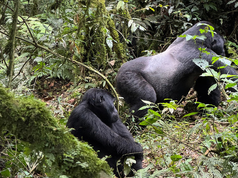 Jinja Bike Tours And Safaris-Buikwe必去景点