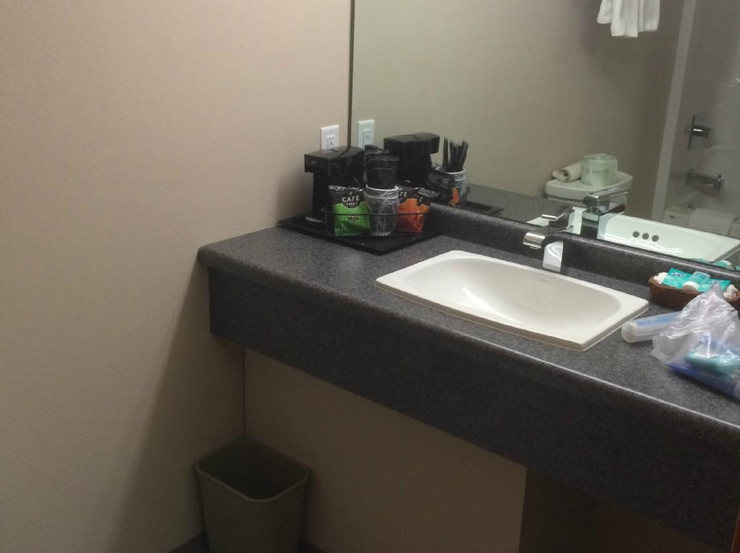 谢尔比旅馆主图