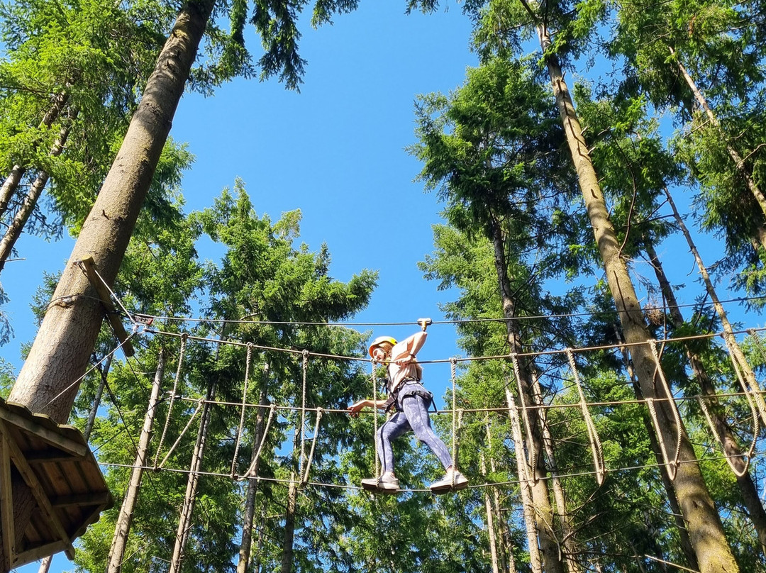 The Tunnel Tree Tops High Ropes-Charmouth必去景点