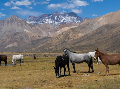 Culmen Outdoors-Yerba Buena必去景点