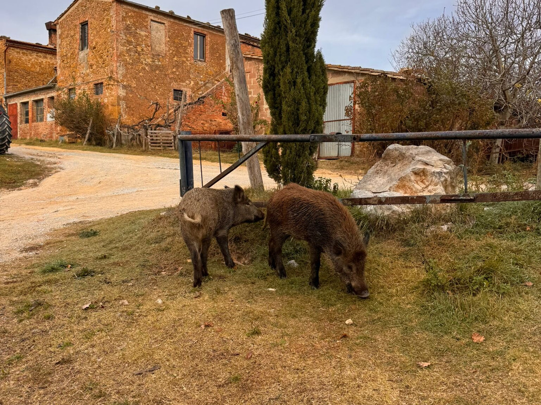 Fratelli Farina Azienda Agricola-阿夏诺必去景点
