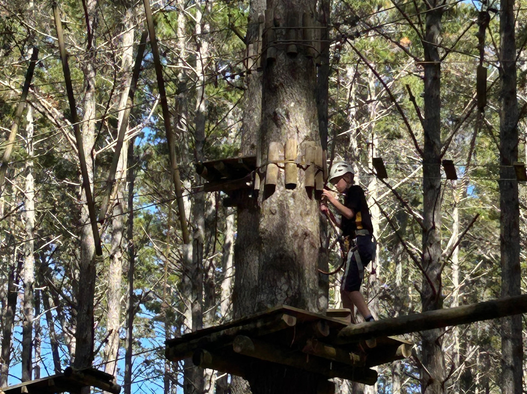 Tree Adventures-伍德山必去景点
