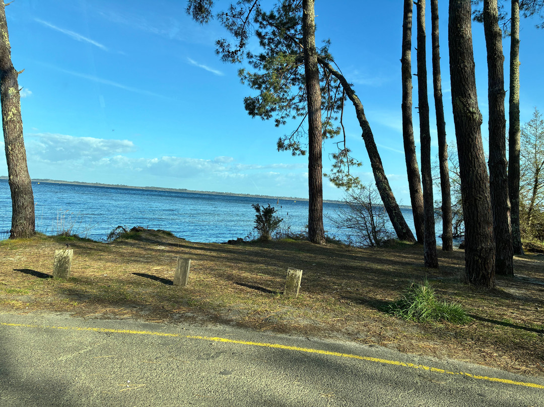 L'ArcaDive - Arcachon Plongee-Mios必去景点