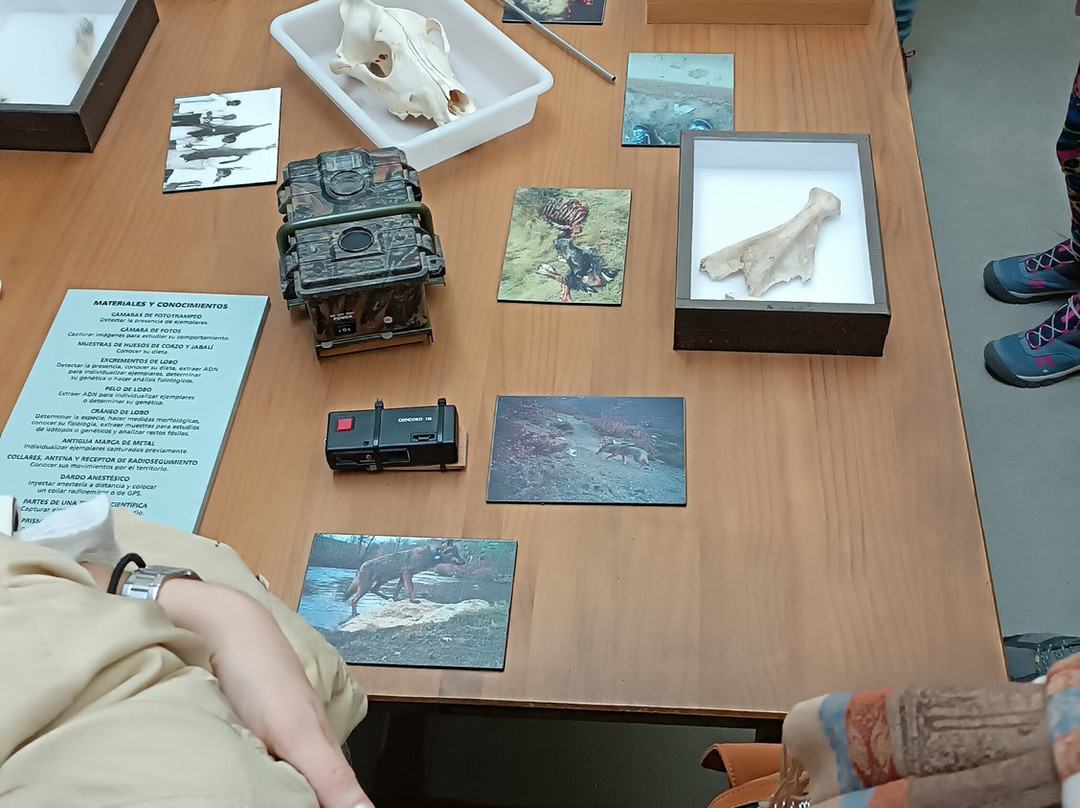 Centro del Lobo Iberico-Puebla de Sanabria必去景点