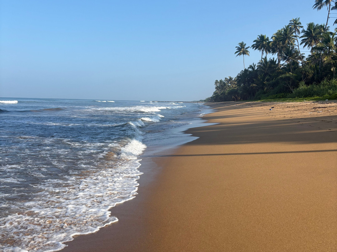 TAKE ME LANKA TRAVELS & TOURS-康提必去景点