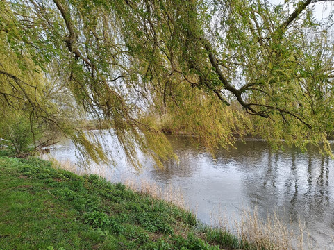 布兰斯顿河畔酒店，由Chef and Brewer Collection运营