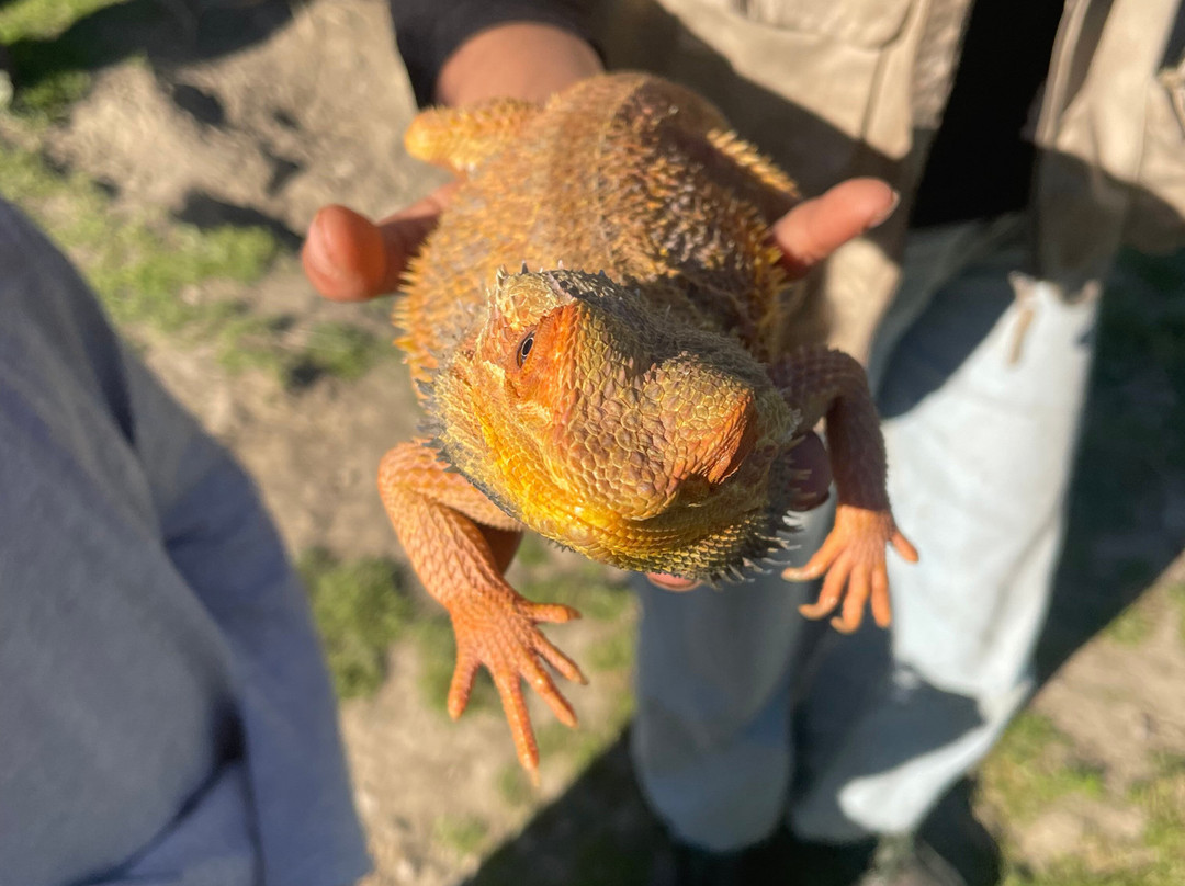 La Pequena Africa Animal Reserve-加的斯市必去景点