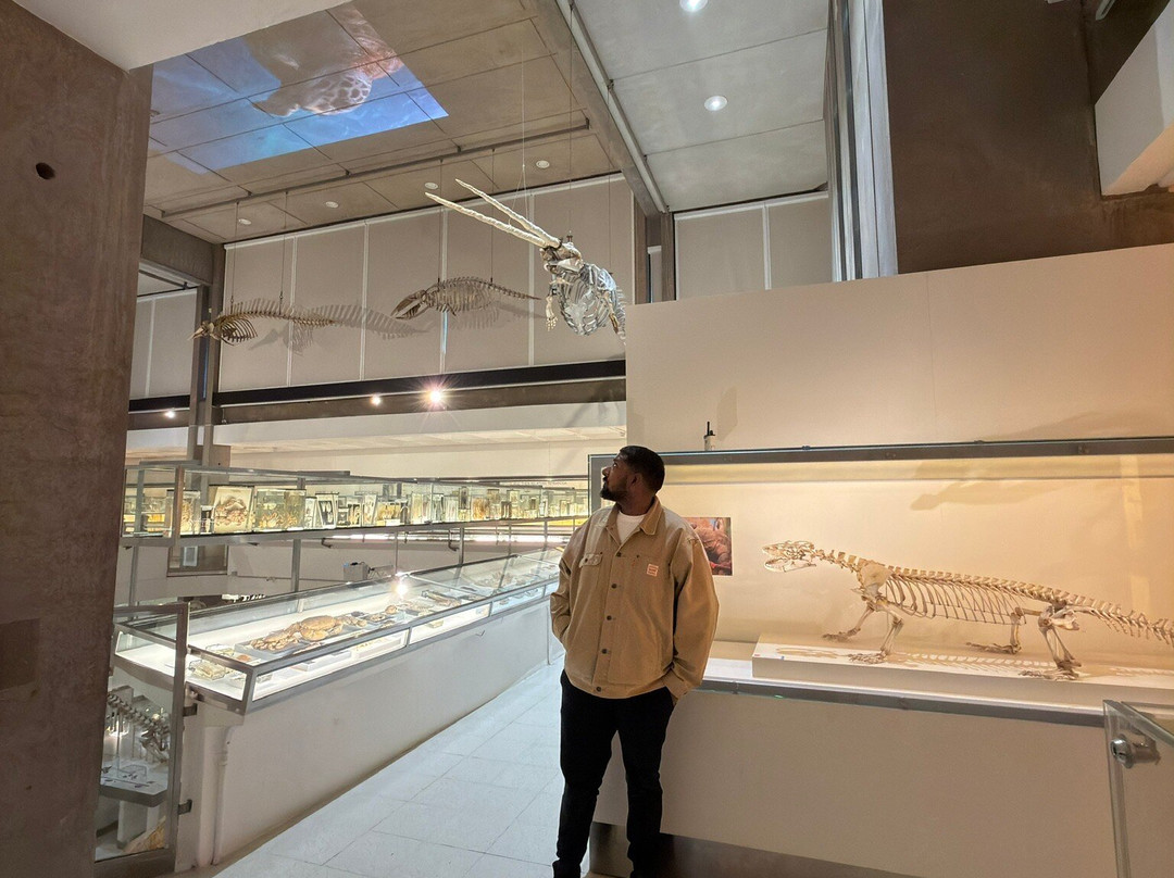 University Museum of Zoology-剑桥必去景点