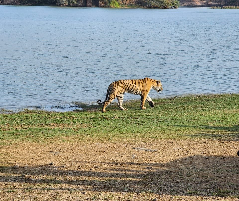 Rifa Tours India - Private Day Tour-瑟瓦伊马托布尔必去景点