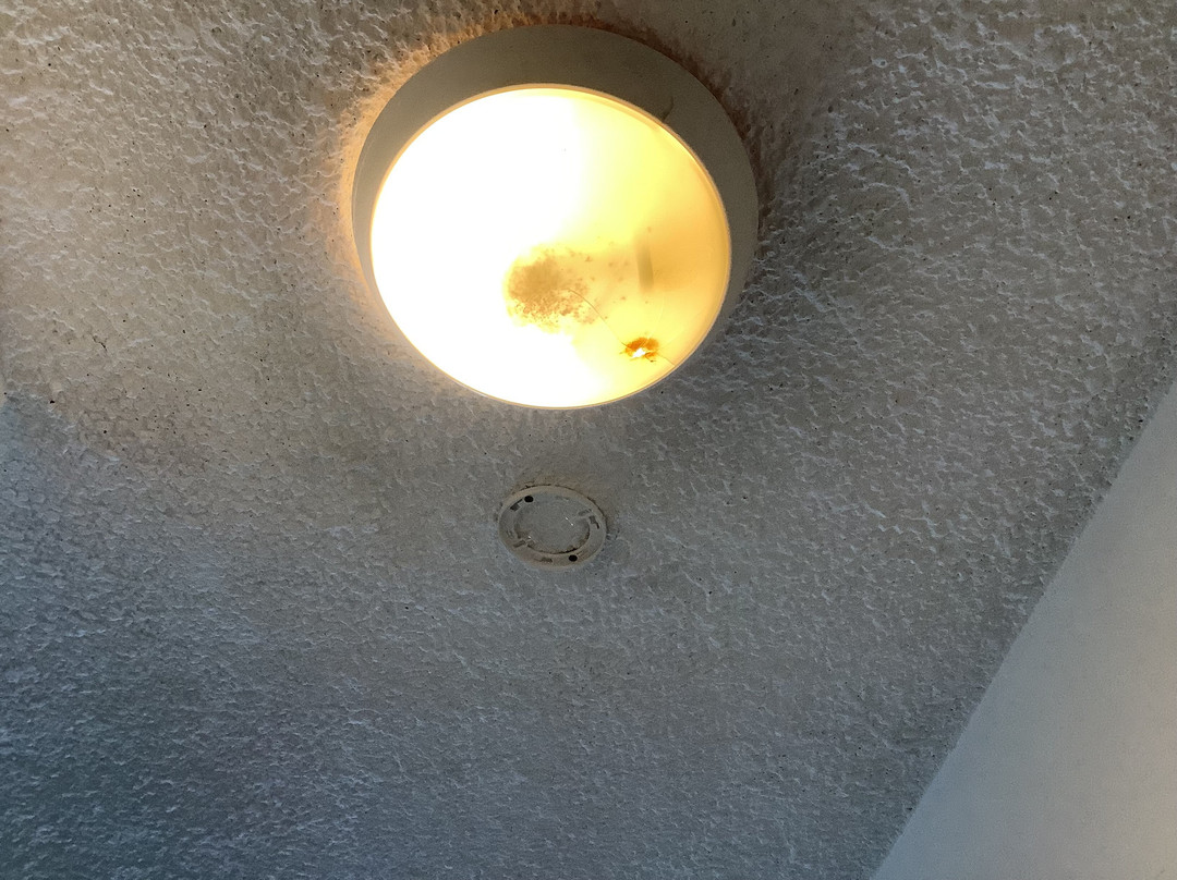 罗德里格斯可可提尔酒店主图