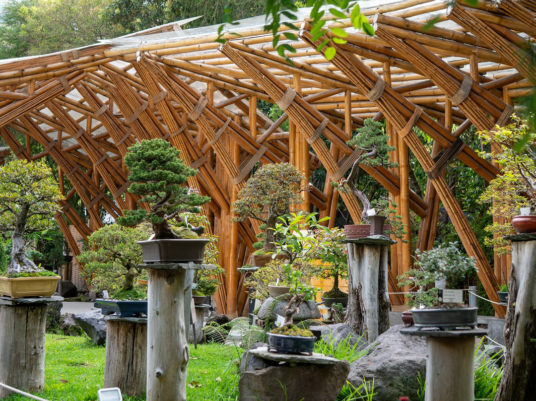 Jardín Botánico de Quito-基多必去景点