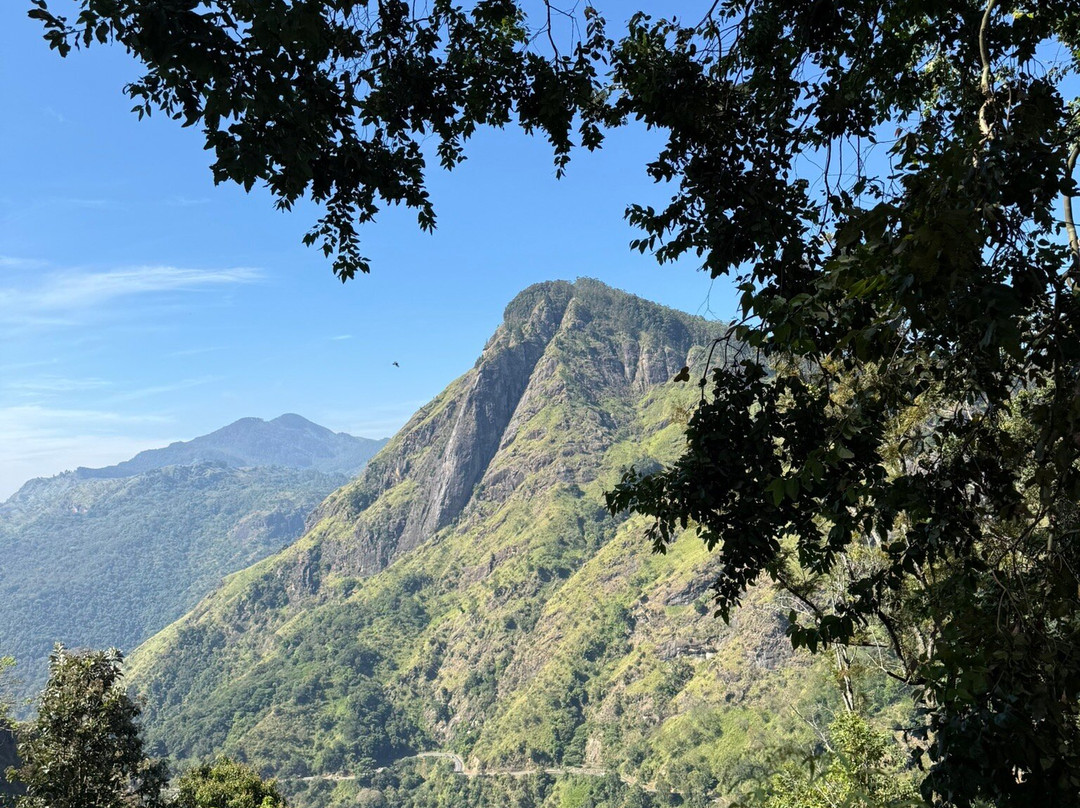 Travelers Choice To Ceylon-科伦坡必去景点