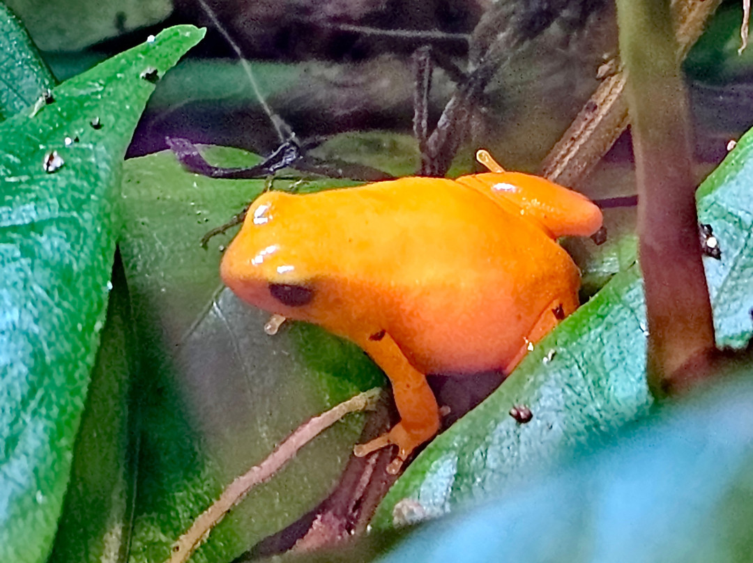 Korkeasaari Zoo-赫尔辛基必去景点