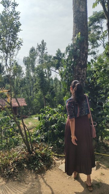 The Hidden Valley-官方