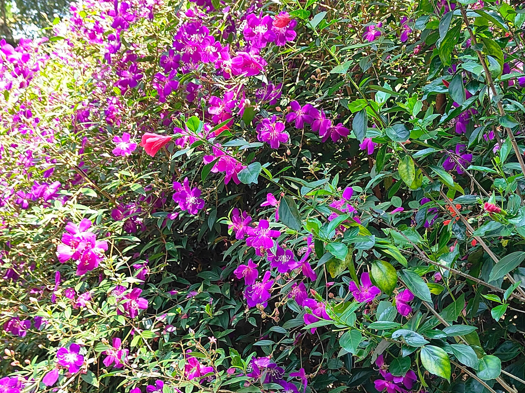 落水度假村主图