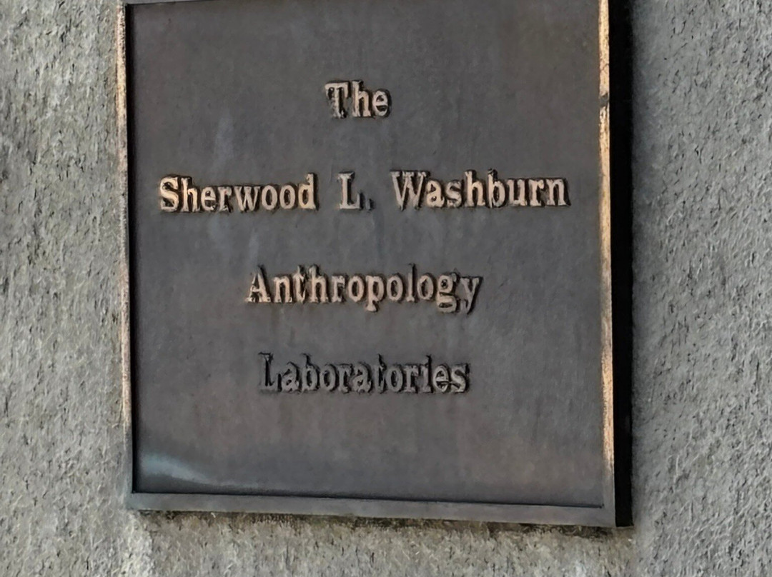 Phoebe A. Hearst Museum of Anthropology-伯克利必去景点