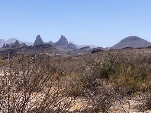Mule Ears Spring Trail-大弯国家公园必去景点