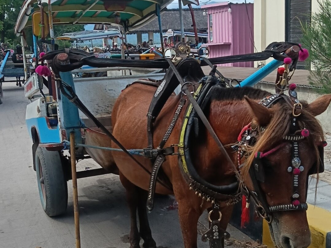 Gili Air Island-龙目岛必去景点