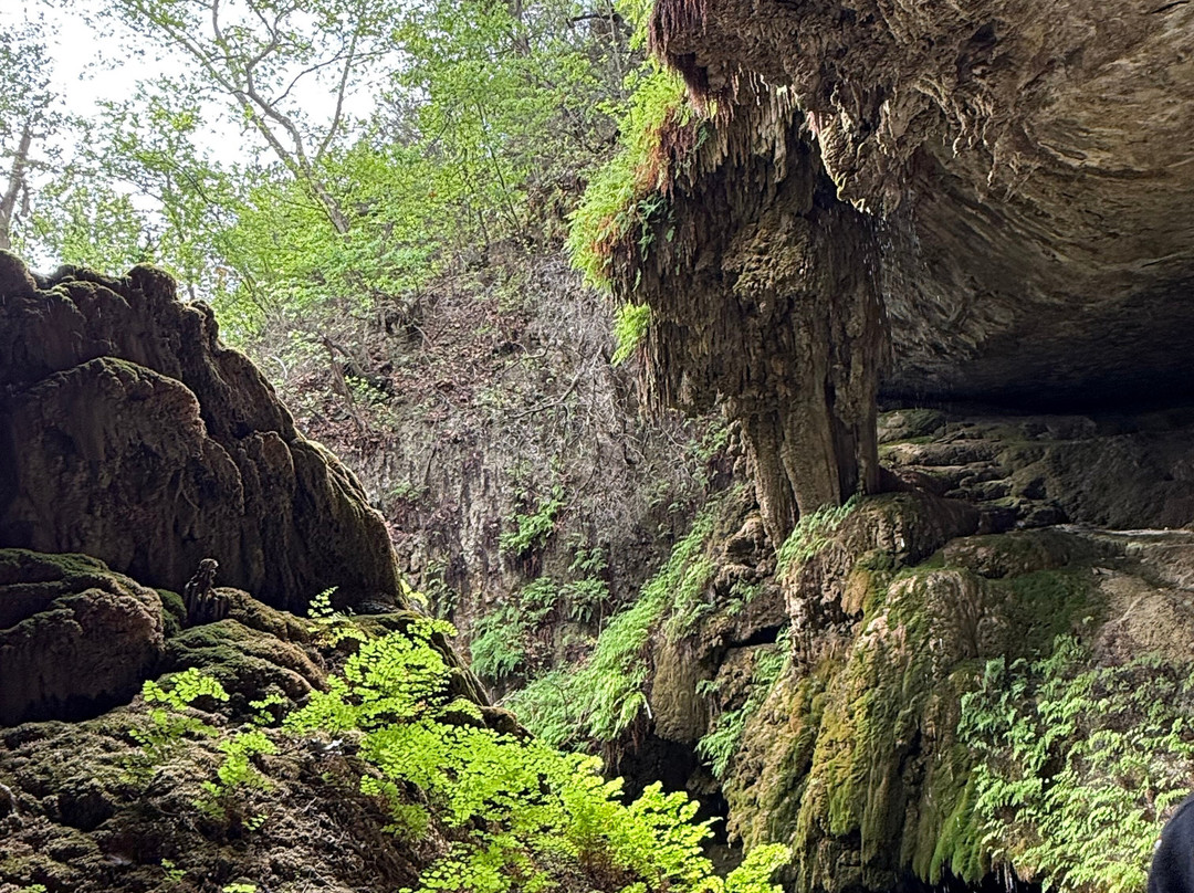 Westcave Outdoor Discovery Center-奥斯丁必去景点