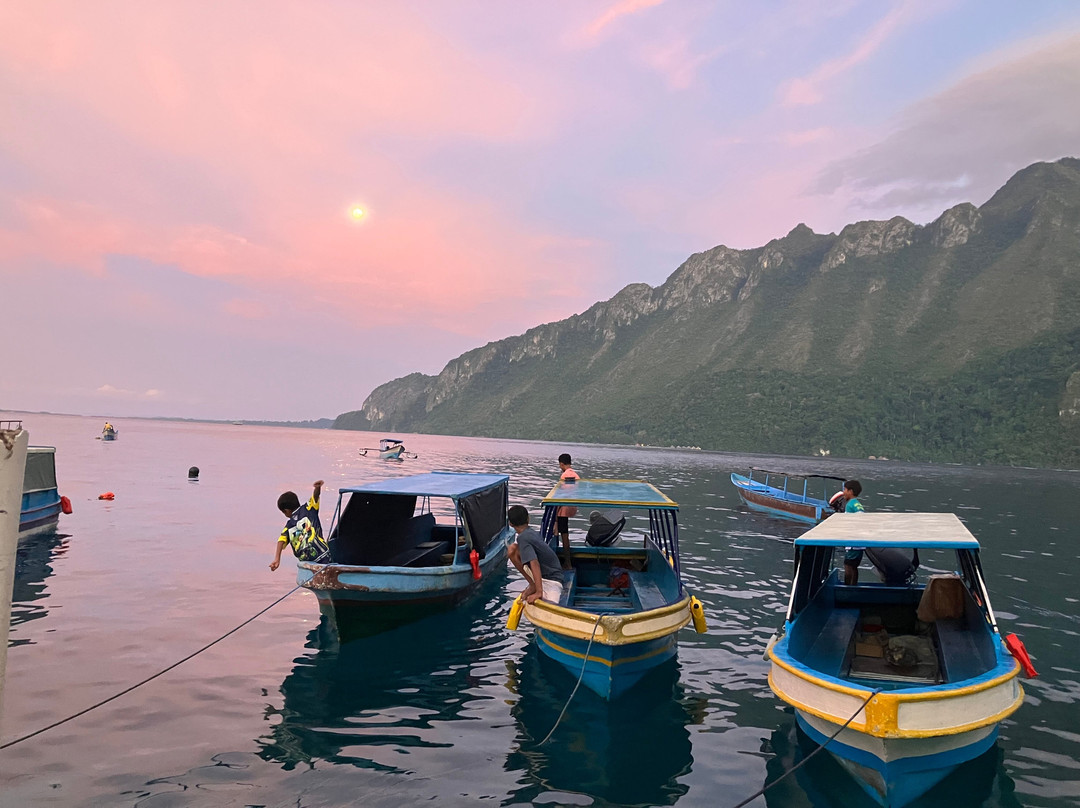 Bellarizki Resort主图