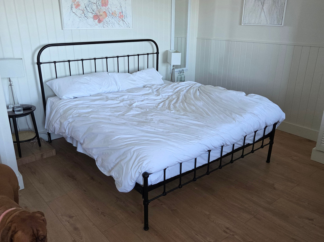 黄金海豚酒店主图