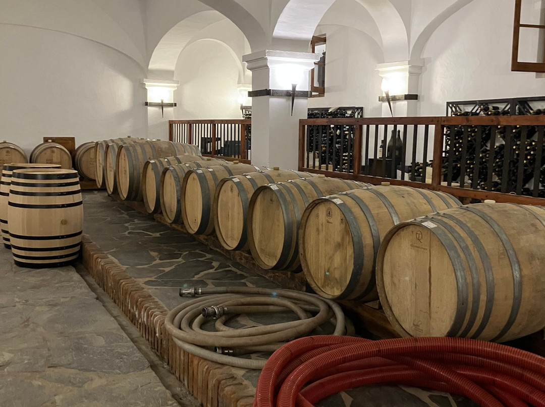 Joao Portugal Ramos Wines-Estremoz必去景点