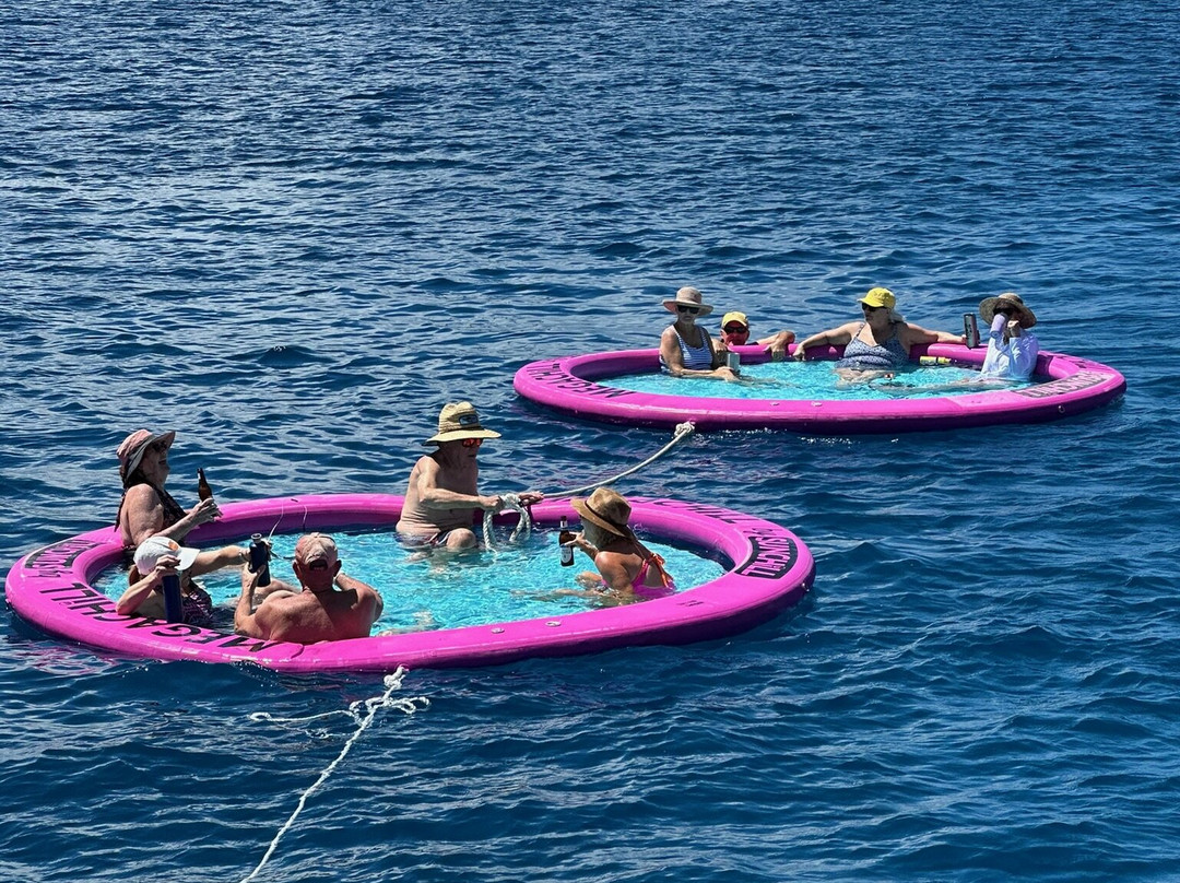 MarineMax Vacations-托土拉必去景点