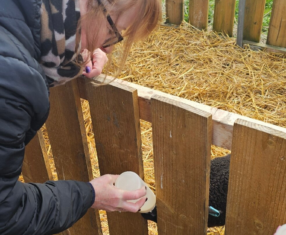 Hillview Animal Park-Alloa必去景点