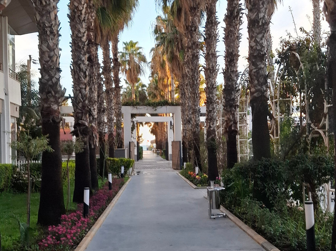 皇家花园海滩酒店 - 全包式主图