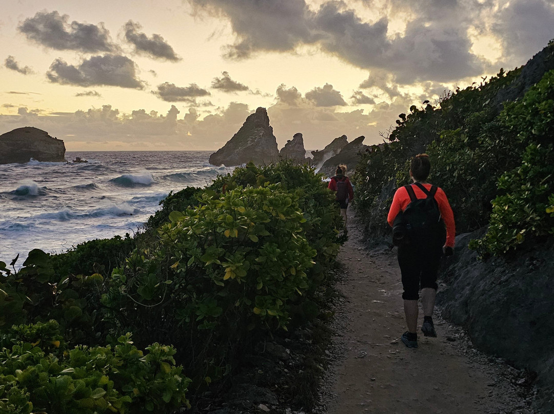 Flora Yoga-Saint Francois必去景点