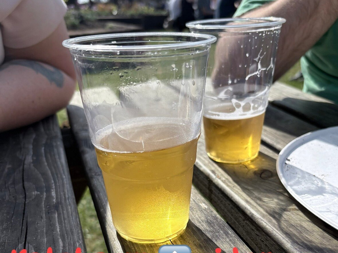 Diddly Squat Farm Shop-奇平诺顿必去景点