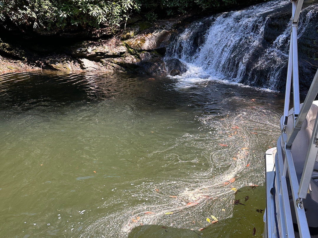 Lake Glenville Scenic Waterfall Cruises-Cashiers必去景点