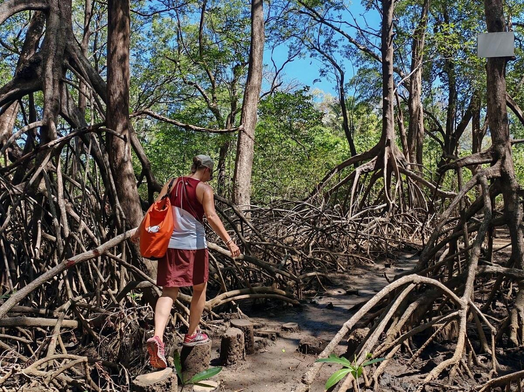 Nature Tours Gabriela-诺萨拉必去景点