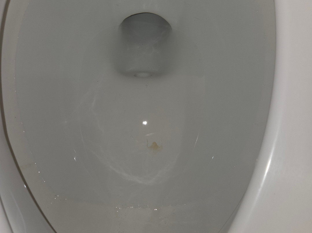 艾迪生酒店 - 贝斯特韦斯特修尔住宿精选酒店主图