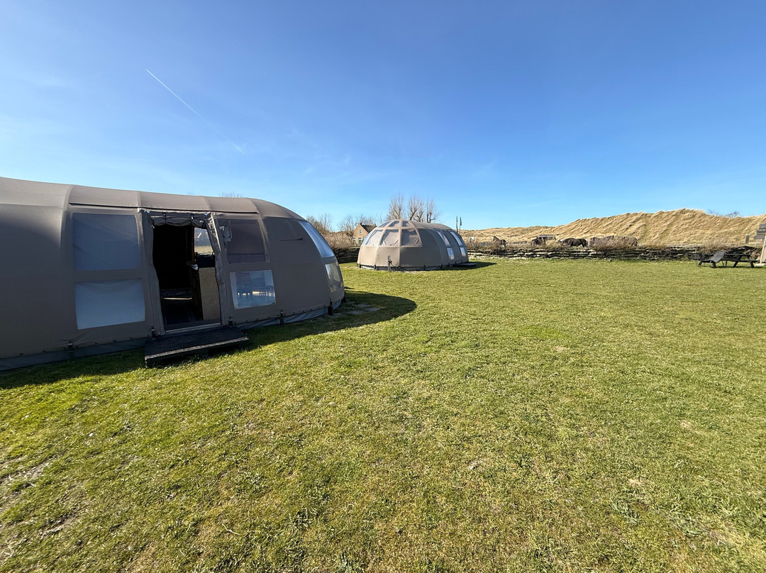 Puur Terschelling-Terschelling必去景点