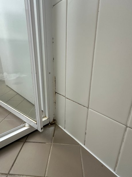 帕尔默集合酒店-旅行者