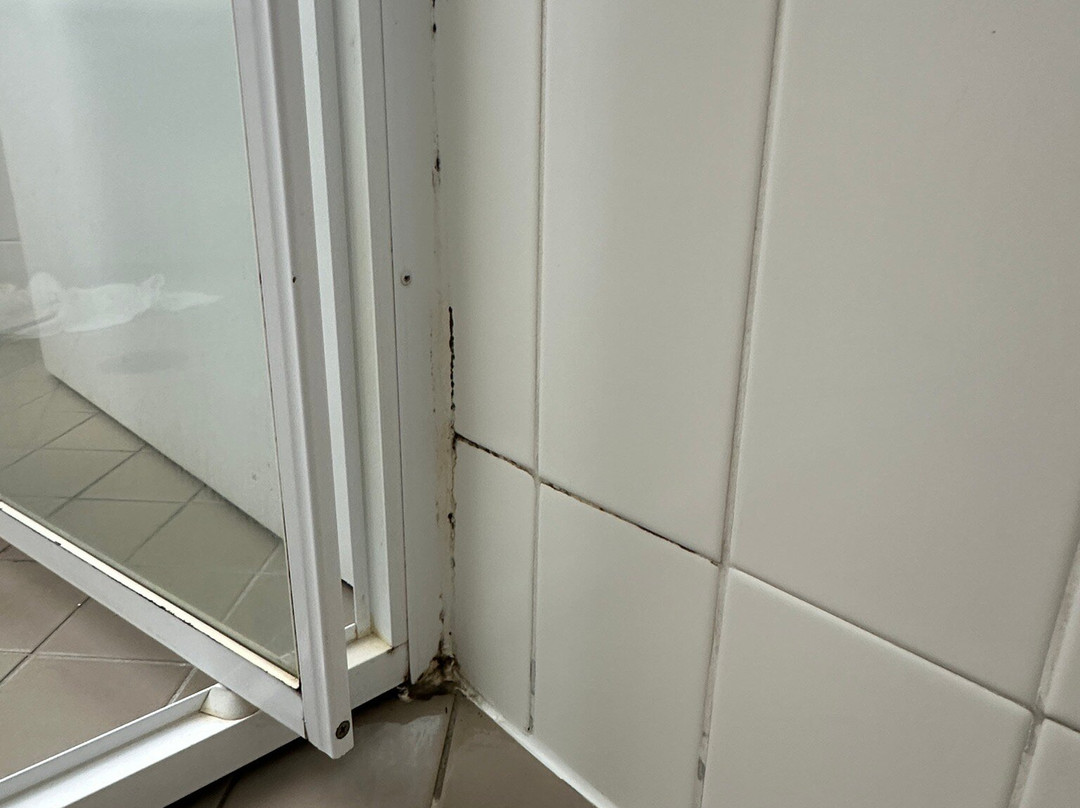 帕尔默集合酒店主图