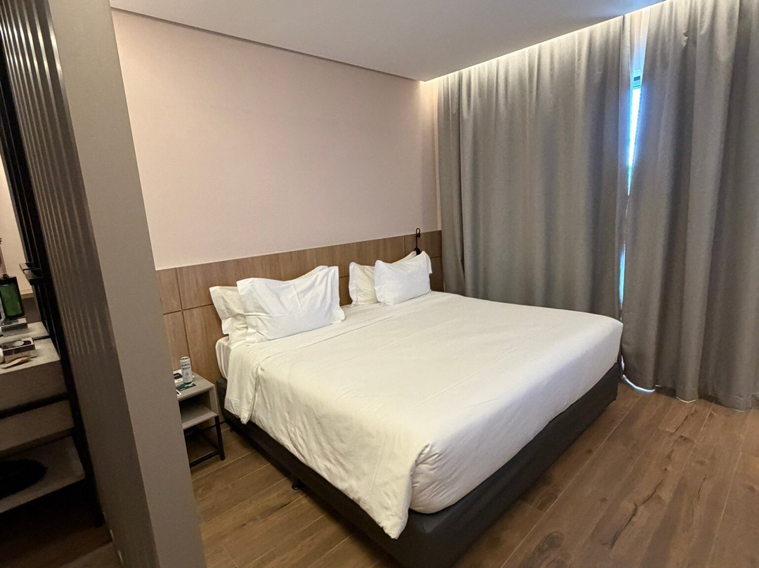 WTC 戈亚尼亚酒店及住宿 由 Atlantica 运营主图