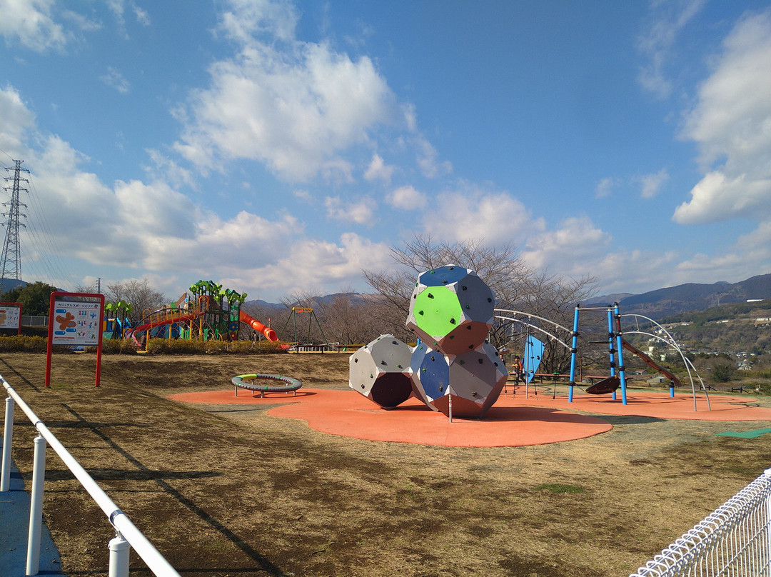 Minamiashigara Sports Park-南足柄市必去景点