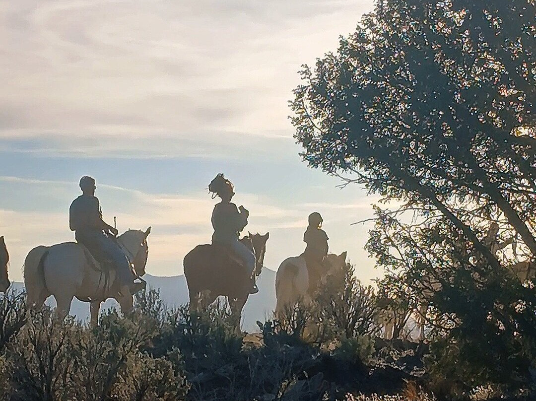 Ranch at Mesa Verde