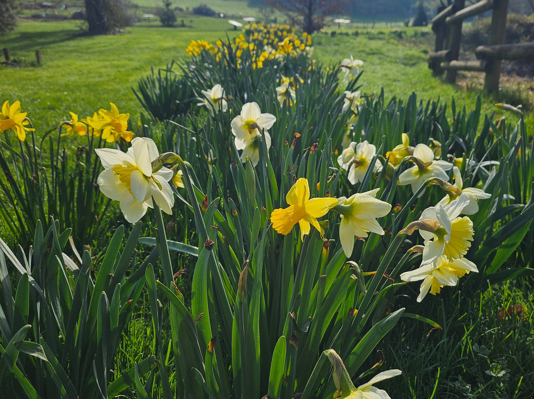 Jardin Botanique Jean-Marie Pelt-Villers-les-Nancy必去景点
