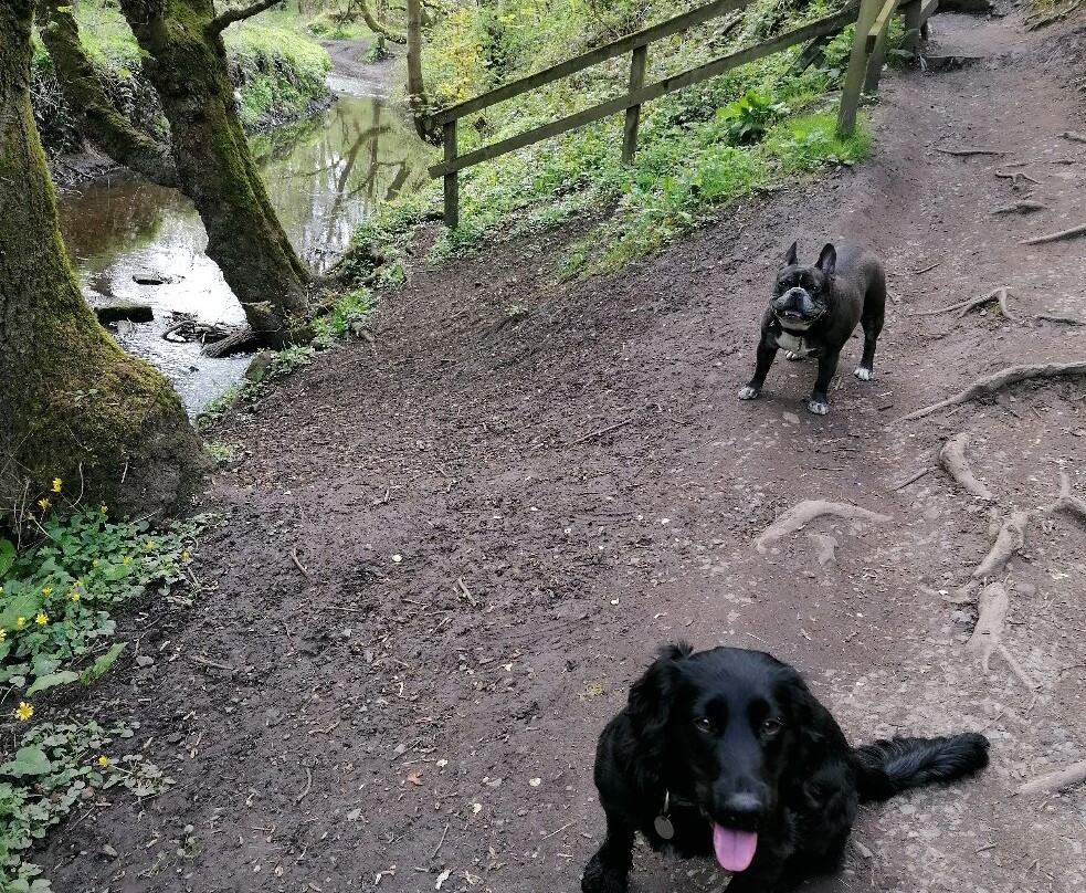 Holywell Dene-Seaton Sluice必去景点