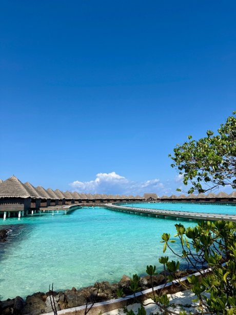 泰姬度假温泉酒店-旅行者