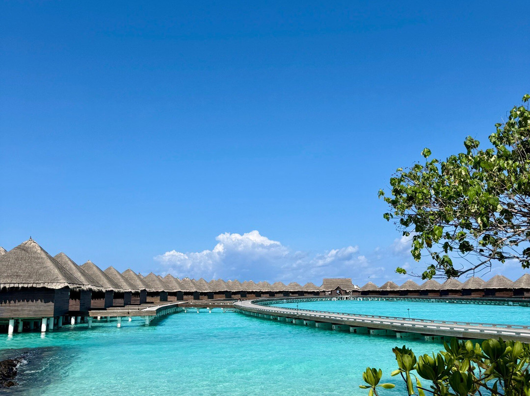 泰姬度假温泉酒店主图