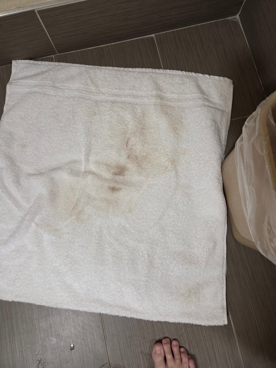 坎贝尔斯维尔贝斯特韦斯特酒店-旅行者