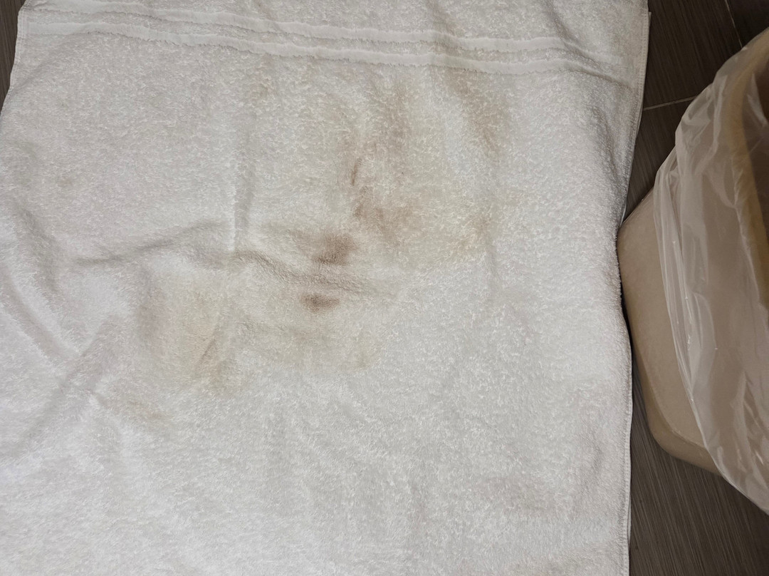 坎贝尔斯维尔贝斯特韦斯特酒店主图