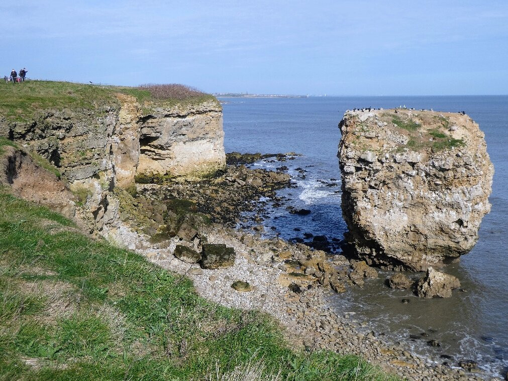 Souter Lighthouse and The Leas-桑德兰必去景点