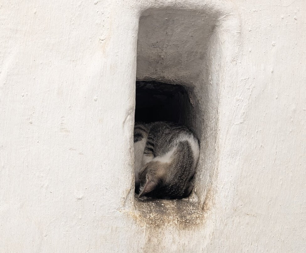 Rabat Old Town-拉巴特必去景点