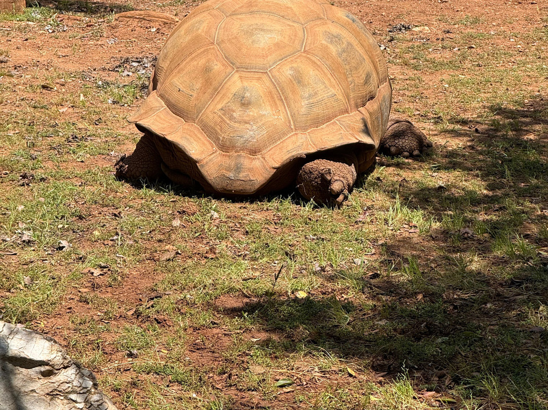 Pafos Zoo-帕福斯必去景点